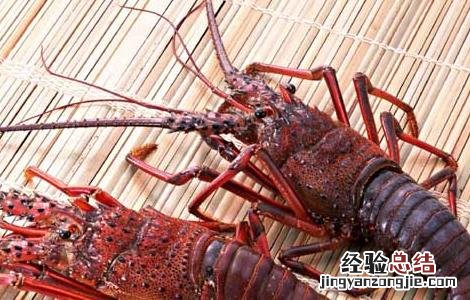 小龙虾养殖基地建设项目 小龙虾养殖基地建设