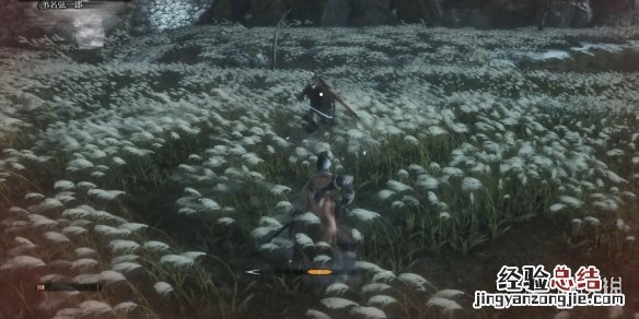 只狼苇名城贮水区怎么走 只狼苇名城贮水城区路线攻略