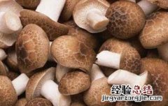 花菇和香菇的区别 花菇和香菇哪个好 花菇和香菇的区别有哪些