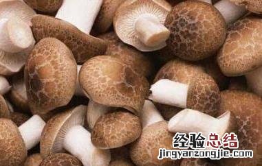花菇和香菇的区别 花菇和香菇哪个好 花菇和香菇的区别有哪些