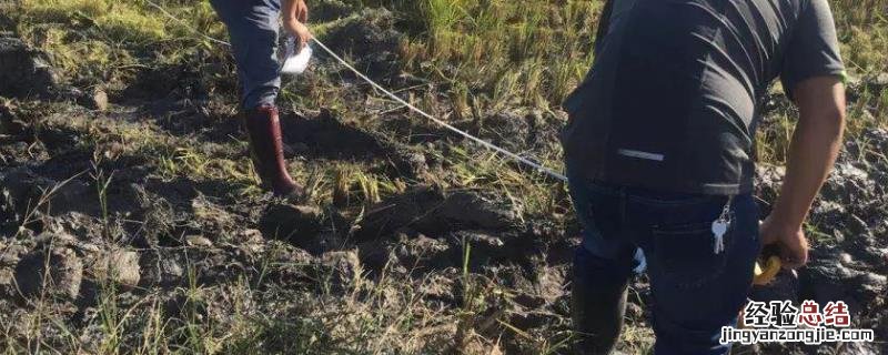 一亩地怎么算出来长宽,一头宽一头窄怎么算亩数