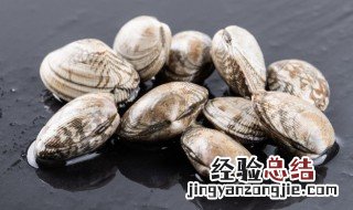 红烧蛤蜊怎么做 红蛤蜊的做法