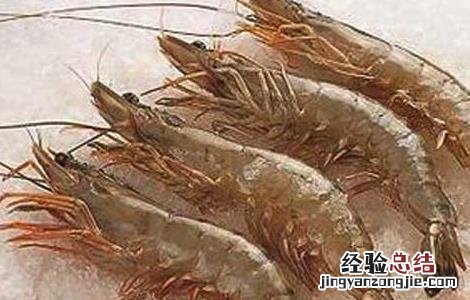 南美白对虾淡水养殖技术资料视频 南美白对虾淡水养殖技术