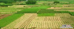 亩产效益是什么意思 亩产效益什么意思，地亩数怎么算