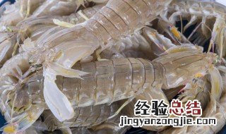 盐焗皮皮虾的做法大全 盐焗皮皮虾的做法步骤