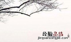 湖心亭看雪中的一白的白是什么意思 湖心亭看雪原文介绍