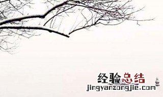 湖心亭看雪中的一白的白是什么意思 湖心亭看雪原文介绍
