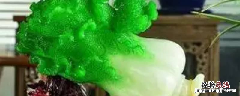 相亲送白菜的寓意是什么 送白菜的寓意是什么