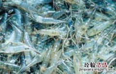 南美白对虾饲料配置 南美白对虾饲料配置表