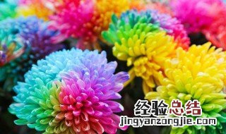 有七色堇花吗 七色堇花的传说