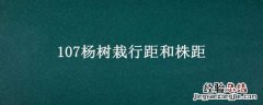107杨树栽行距和株距 杨树栽种行距