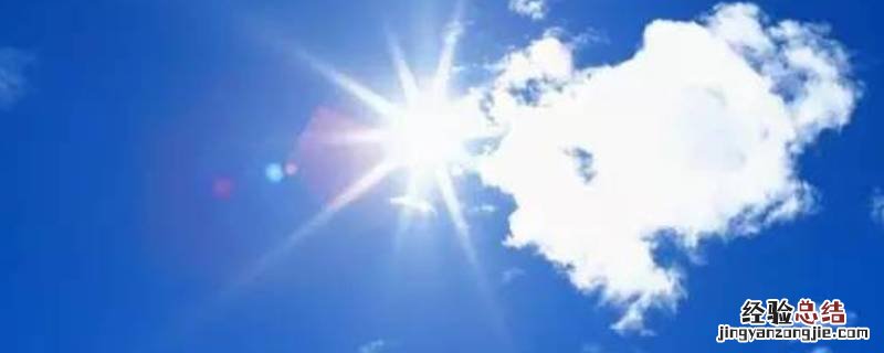 狗狗夏天怎么防暑 怎么防暑