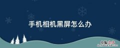 Vivo手机相机黑屏怎么办 手机相机黑屏怎么办