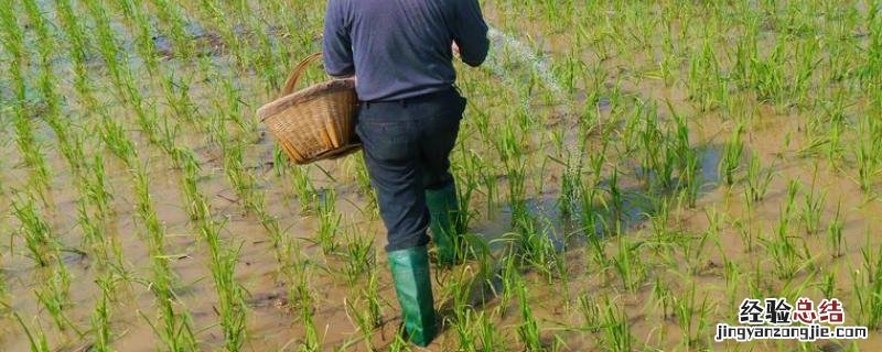 最方便的磷钾肥,n肥p肥k肥的作用 钾肥,磷肥,氮肥指什么