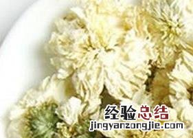 白菊花茶的功效与作用及副作用 白菊花茶的作用和功效