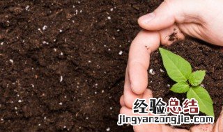 泥淖怎么读拼音 泥淖怎么读