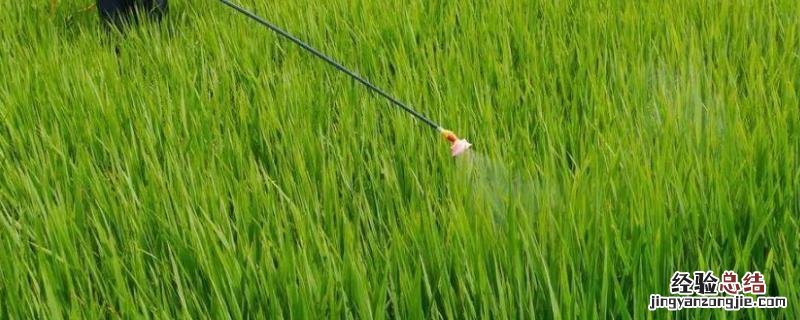 甲拌磷是什么农药，可以杀那些重，残留期是多长时间