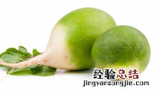 绿萝卜的做法大全家常做法 绿萝卜的做法大全家常做法窍门