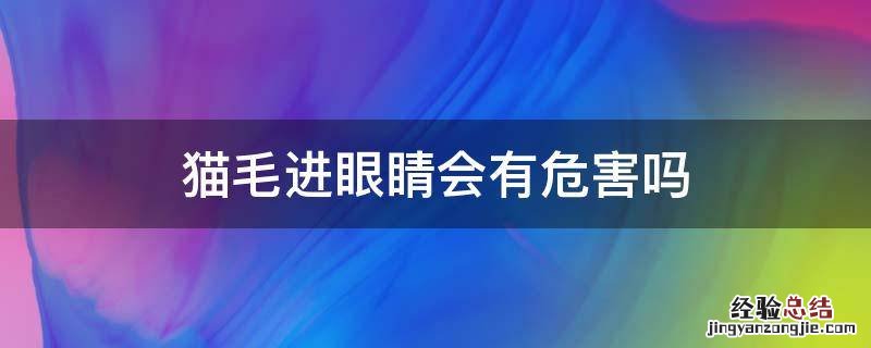 猫毛进眼睛会有危害吗 猫毛会进眼睛里吗