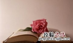 折翼的天使到底是什么意思 折翼的天使的解释