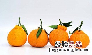 耚耙有什么功效 耙耙坩的功效