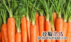 红萝卜的腌菜方法 红萝卜的腌菜方法和配料