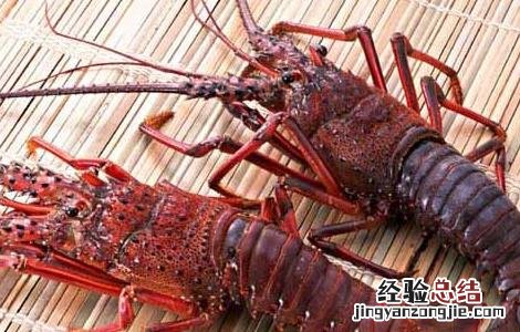 小龙虾病害防治技术 小龙虾病虫害防治技术