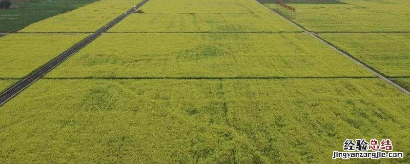 高标准农田建设项目是什么意思 高标准农田建设工程,高标准是指