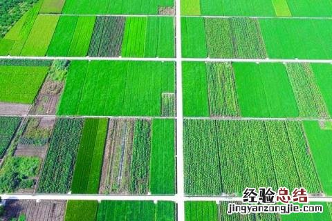 高标准农田建设项目是什么意思 高标准农田建设工程,高标准是指