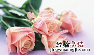 玫瑰情人节的由来! 情人节送玫瑰花的由来