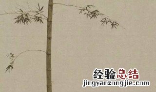 中国画又称为什么? 中国画又称为什么画