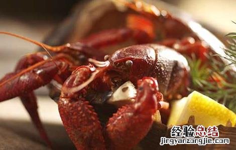 龙虾的生活特点 小龙虾的生活习性