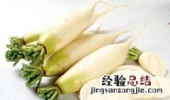 孕妇可以吃萝卜吗中期 孕妇可以吃萝卜吗