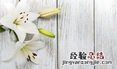 关于百合花的传说故事 关于百合花的故事和传说