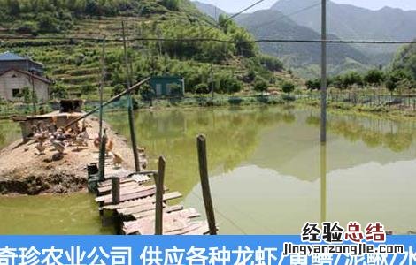龙虾养殖场地建设 龙虾养殖场地建设要求