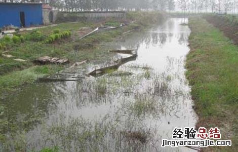 龙虾养殖场地建设 龙虾养殖场地建设要求