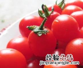 小西红柿的功效与作用 水果小西红柿的功效与作用