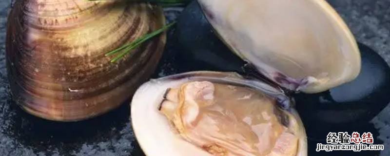 河蚌的贝壳用来干嘛 河蚌的贝壳是用来游泳的吗