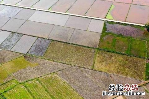 农业投资项目的实施一般时间较 农业投资项目