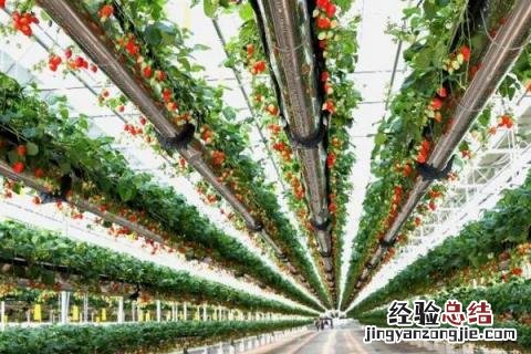 农业投资项目的实施一般时间较 农业投资项目