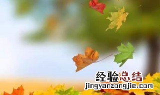 散文读后感300字 散文读后感