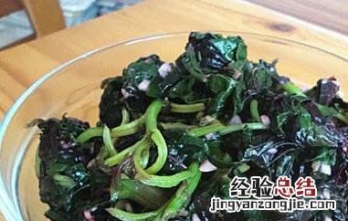 红背菜怎么吃最好 红背菜怎么吃