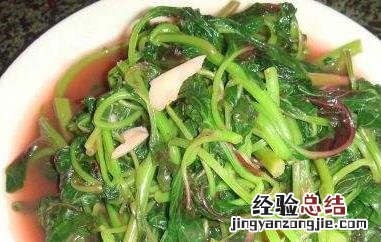 红背菜怎么吃最好 红背菜怎么吃