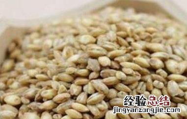 浮小麦的功效与作用吃法大全 浮小麦的功效与作用及食用方法