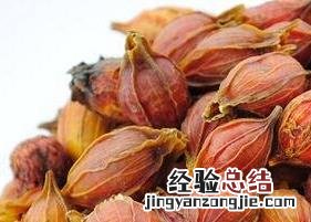 栀子茶的功效与作用及食用方法及禁忌 栀子茶的功效与作用及食用方法