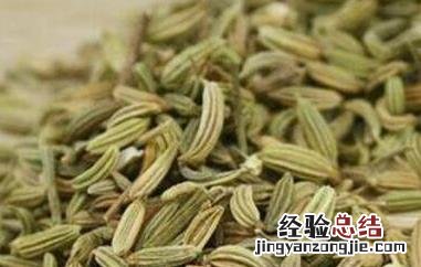 小茴香的功效与作用 小茴香的功效与作用禁忌及食用方法