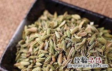 小茴香的功效与作用 小茴香的功效与作用禁忌及食用方法