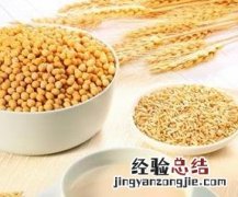 早上空腹喝豆浆好吗 空腹喝豆浆好吗