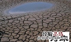 河床的意思 河床的解释