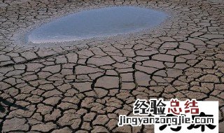 河床的意思 河床的解释